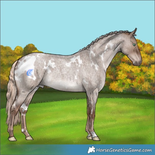 Horse Color:White Spotted Liver Red Dun Roan Mushroom 