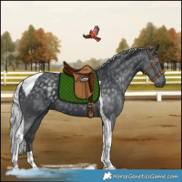 Horse Color:Silver Black Chinchilla Tobiano Rabicano