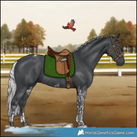 Horse Color:Silver Black Chinchilla Tobiano Rabicano 