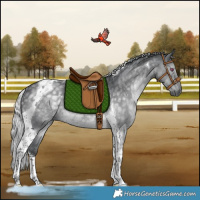 Horse Color:Silver Black Chinchilla Tobiano Rabicano 