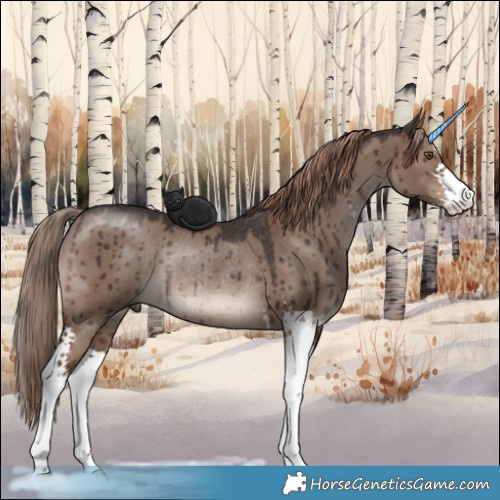 Horse Color:Liver Red Dun Sabino Rabicano Brindle 