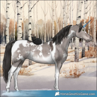 Horse Color:Platinum White Spotted Liver Red Dun Tobiano