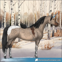 Horse Color:Brown Dun Tobiano 
