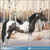 Horse Color:Brown Dun Tobiano 