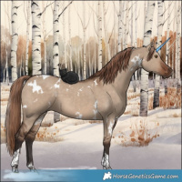 Horse Color:White Spotted Liver Red Dun Tobiano