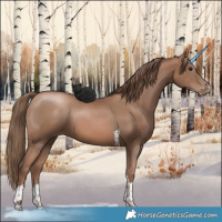 Horse Color:Black Pearl Tobiano