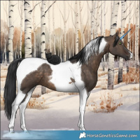 Horse Color:Brown Dun Tobiano 