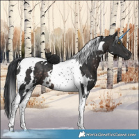 Horse Color:Platinum White Spotted Brown Tobiano