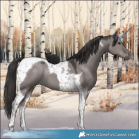 Horse Color:Platinum Liver Red Dun Tobiano