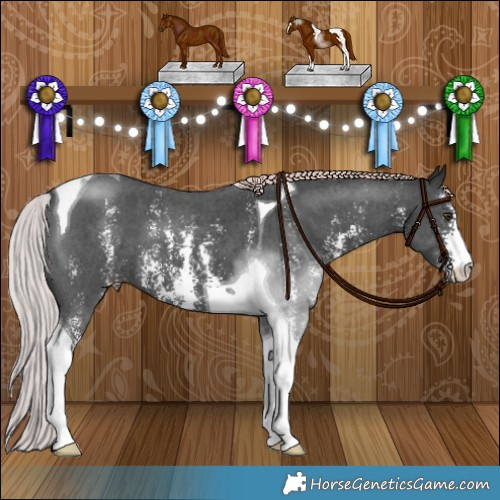 Horse Color:Platinum Liver Chestnut Sabino Tobiano 