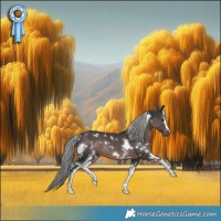 Horse Color:Platinum White Spotted Liver Chestnut 