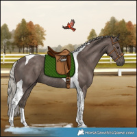 Horse Color:Silver Black Tobiano Rabicano