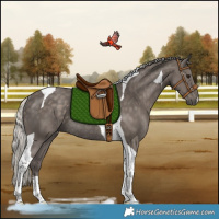 Horse Color:Silver Black Tobiano Rabicano 