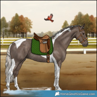 Horse Color:Silver Black Tobiano Rabicano 