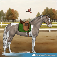 Horse Color:Silver Grullo Splash Tobiano Rabicano 