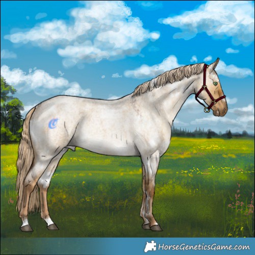 Horse Color:White Spotted Chocolate Palomino Roan Dun 