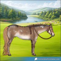 Horse Color:White Spotted Liver Red Dun 