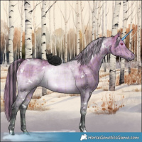 Horse Color:Painted Plaid  White Spotted Brown Chinchilla Dun Mushroom Brindle 