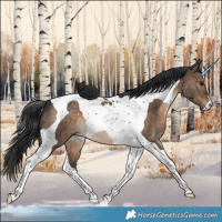 Horse Color:Brown Dun Tobiano 