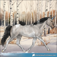 Horse Color:Brown Roan Dun Tobiano Rabicano 