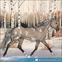 Horse Color:White Spotted Silver Brown Dun
