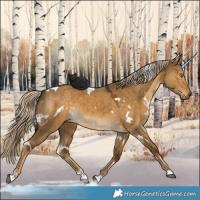 Horse Color:White Spotted Chocolate Palomino Dun 