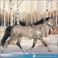 Horse Color:White Spotted Brown Dun Sabino 