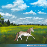 Horse Color:White Spotted Liver Red Dun Rabicano 