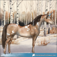 Horse Color:Gray White Spotted Liver Red Dun Pearl Brindle