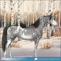Horse Color:Platinum White Spotted Liver Red Dun Sabino