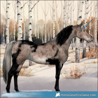 Horse Color:Void Liver Red Dun Ice Mushroom Tobiano Brindle