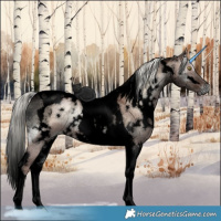 Horse Color:Void White Spotted Liver Red Dun Ice Onyx Mushroom Tobiano