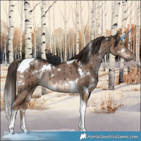 Horse Color:White Spotted Liver Red Dun Tobiano Brindle