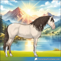 Horse Color:Amber Champagne Dun Tobiano 