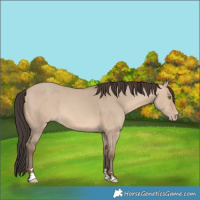 Horse Color:Sable Champagne Dun 