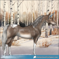 Horse Color:Silver Brown Dun Tobiano