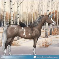 Horse Color:White Spotted Silver Brown Dun Splash Rabicano 