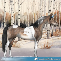 Horse Color:Brown Dun Tobiano 