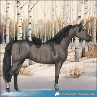 Horse Color:Platinum Grullo Tobiano Brindle