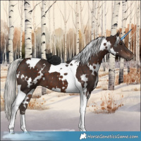Horse Color:White Spotted Silver Brown Tobiano