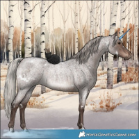 Horse Color:White Spotted Silver Brown Roan 