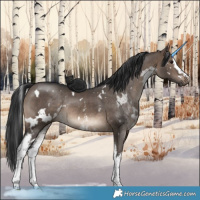 Horse Color:White Spotted Brown Dun Rabicano
