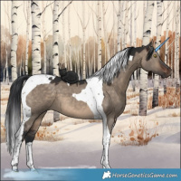 Horse Color:Brown Dun Tobiano 