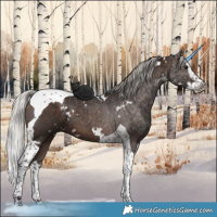 Horse Color:White Spotted Silver Brown Splash Tobiano 