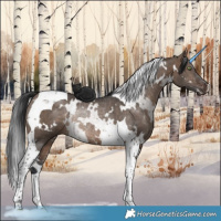 Horse Color:White Spotted Brown Dun Tobiano Rabicano 