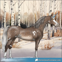 Horse Color:White Spotted Silver Brown Dun Splash Rabicano