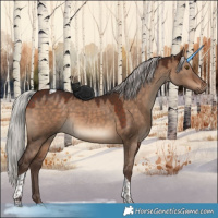 Horse Color:Silver Brown Dun Tobiano