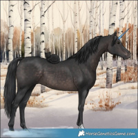 Horse Color:Platinum Brown
