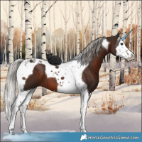 Horse Color:Silver Brown Splash Tobiano