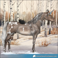 Horse Color:White Spotted Silver Brown Dun Rabicano 